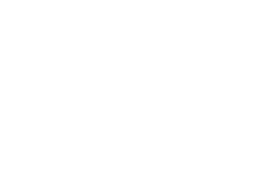 Partners