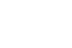 Partners