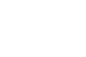 Partners