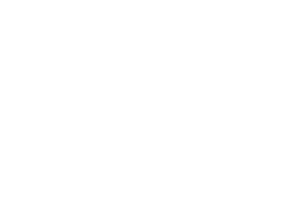 Partners